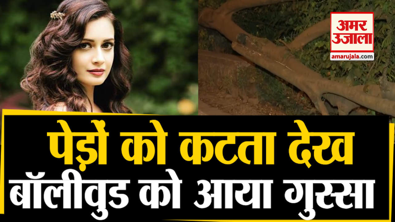 बॉलीवुड