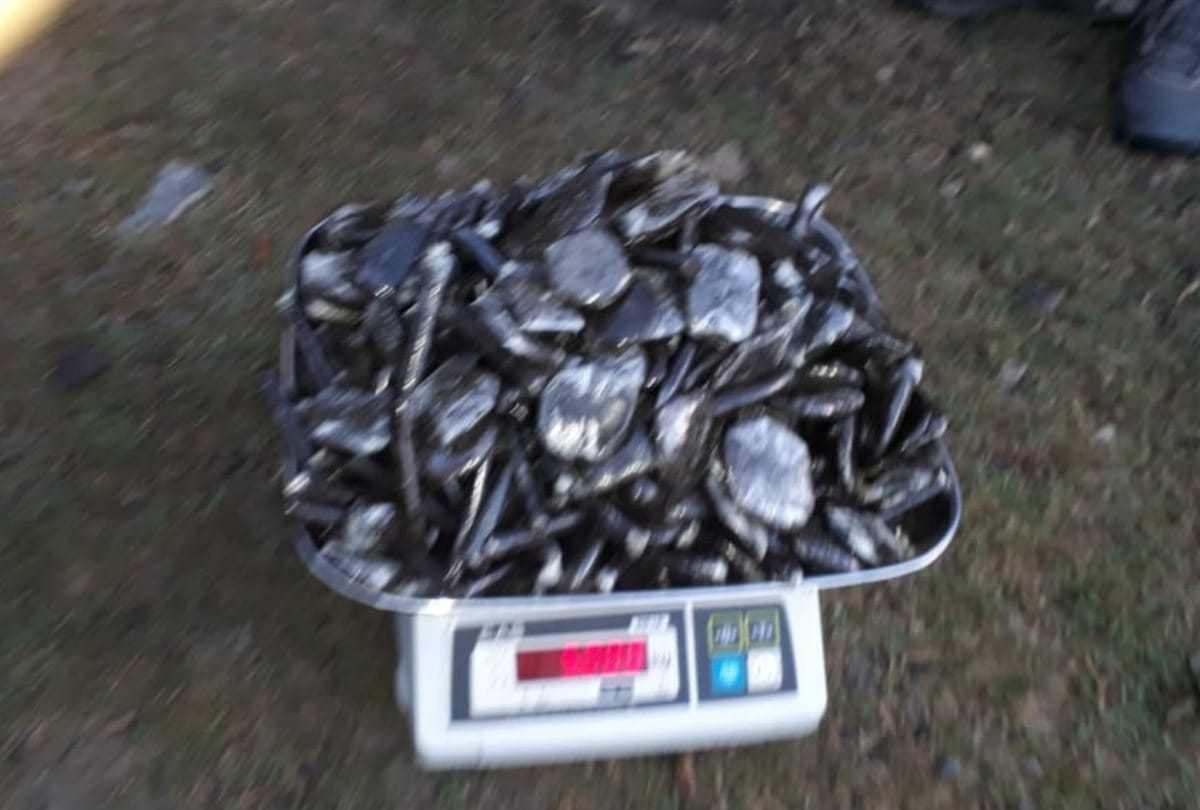 Two arrested with five kg charas in kullu himachal pradesh