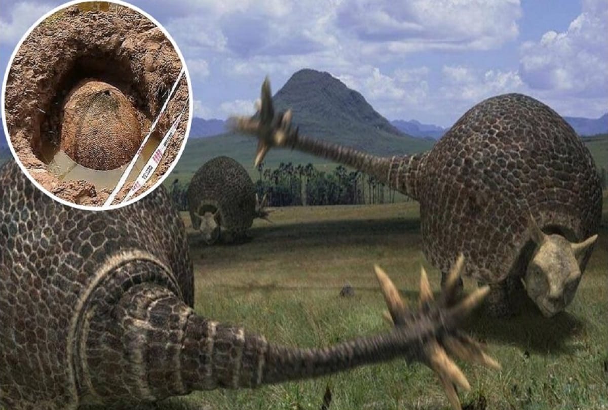 10 thousand year old giant armadillo shell is found in Argentina