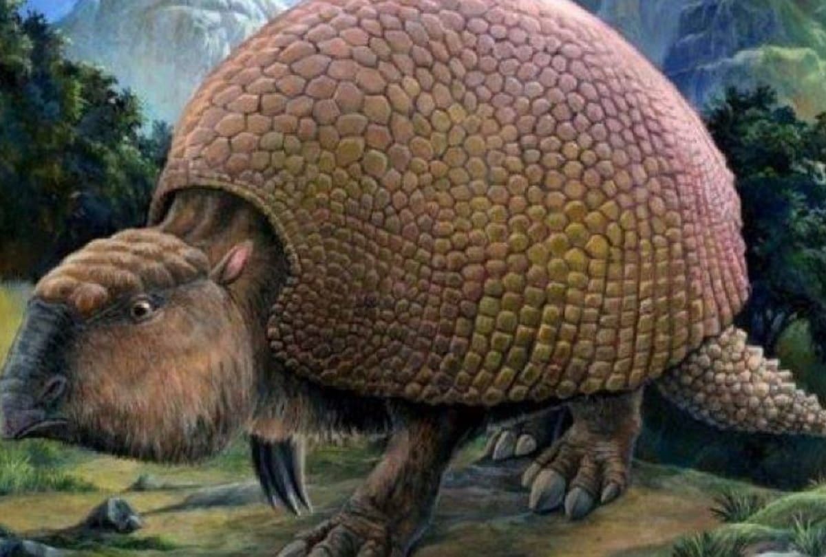 10 thousand year old giant armadillo shell is found in Argentina