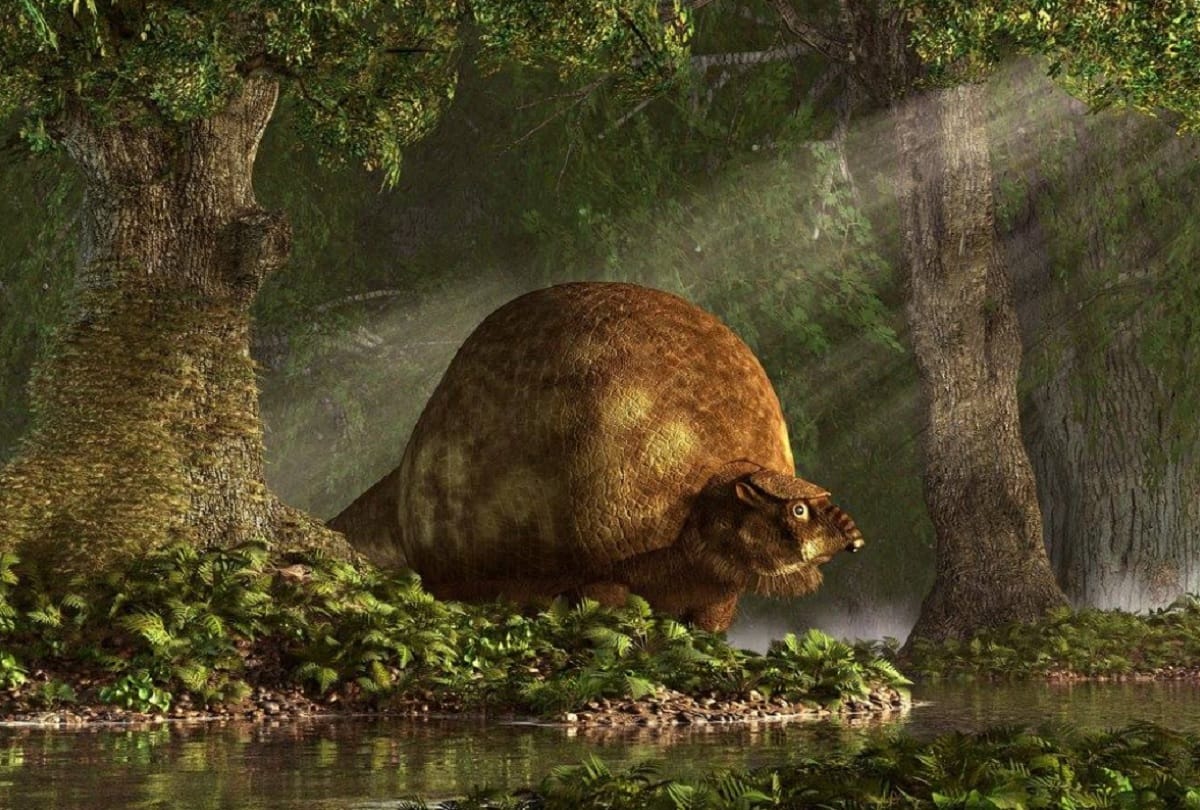 10 thousand year old giant armadillo shell is found in Argentina