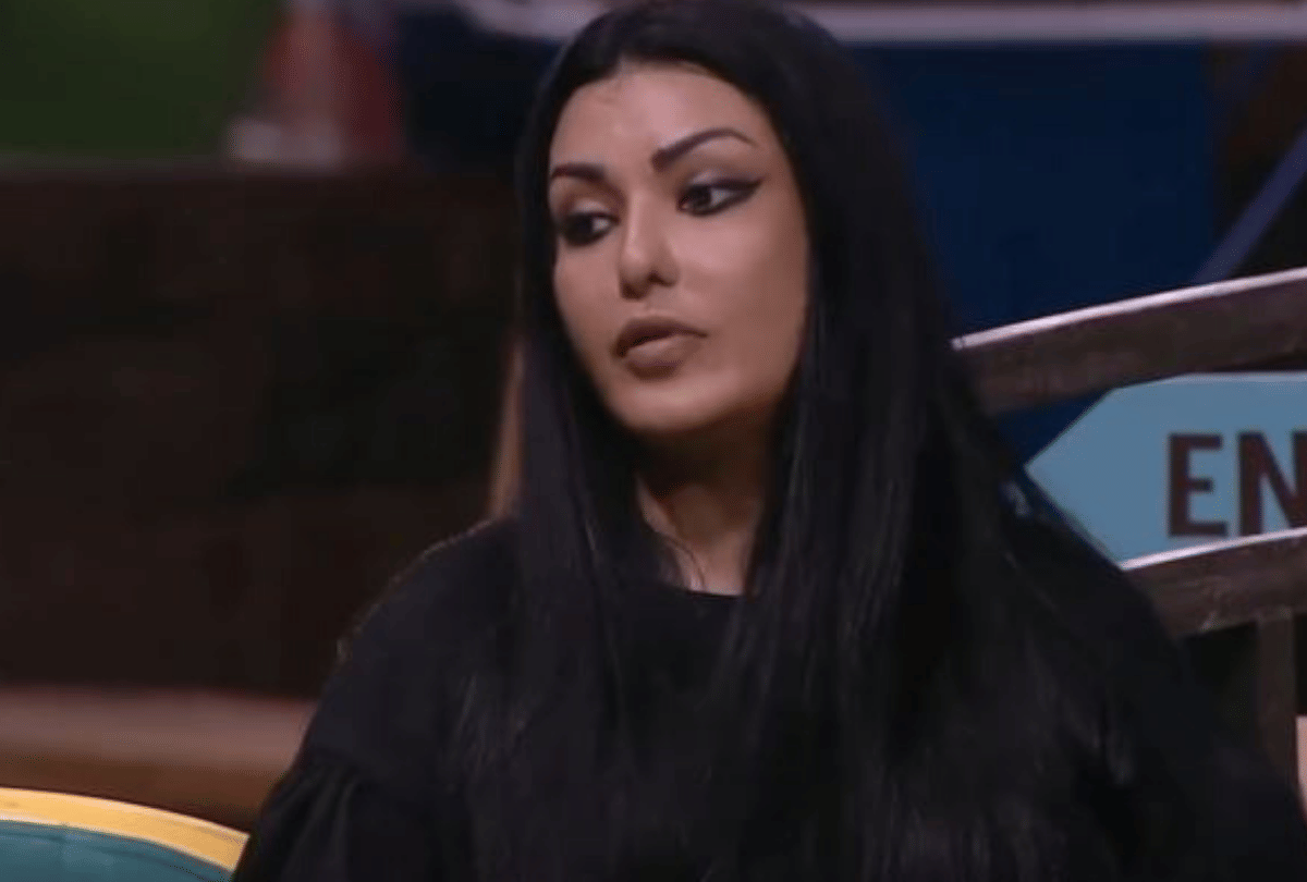 Bigg Boss13 koena mitra open her ex boyfriend and breakup story