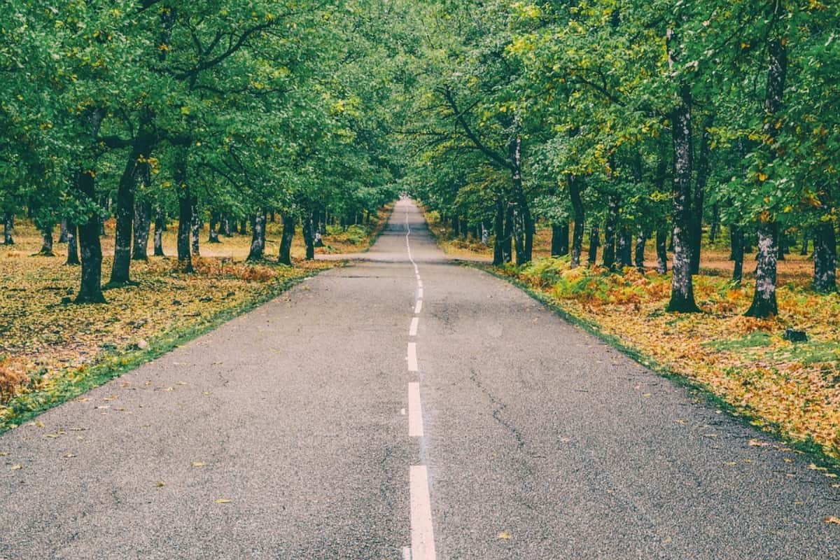 5 safest places in india for solo female travellers