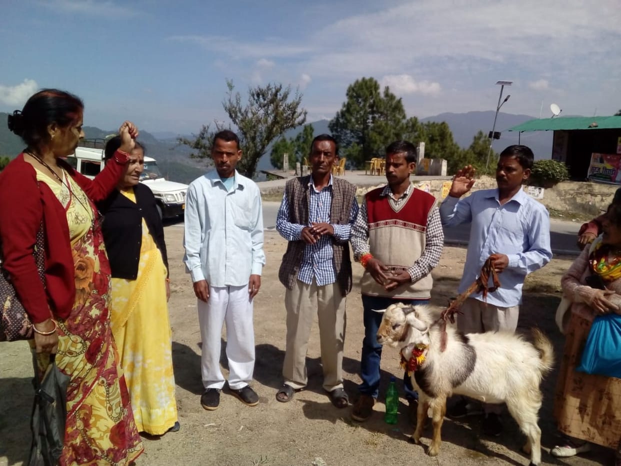 Return the goats