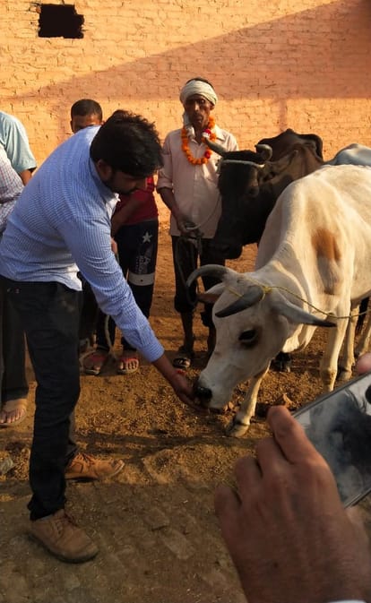 पशुपालकों को देने के लिए गाय का पूजन करते अधिकारी। अमर उजाला