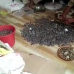 भइखारी की झोपड़ी से पुलिस को मिले लाखों रुपये