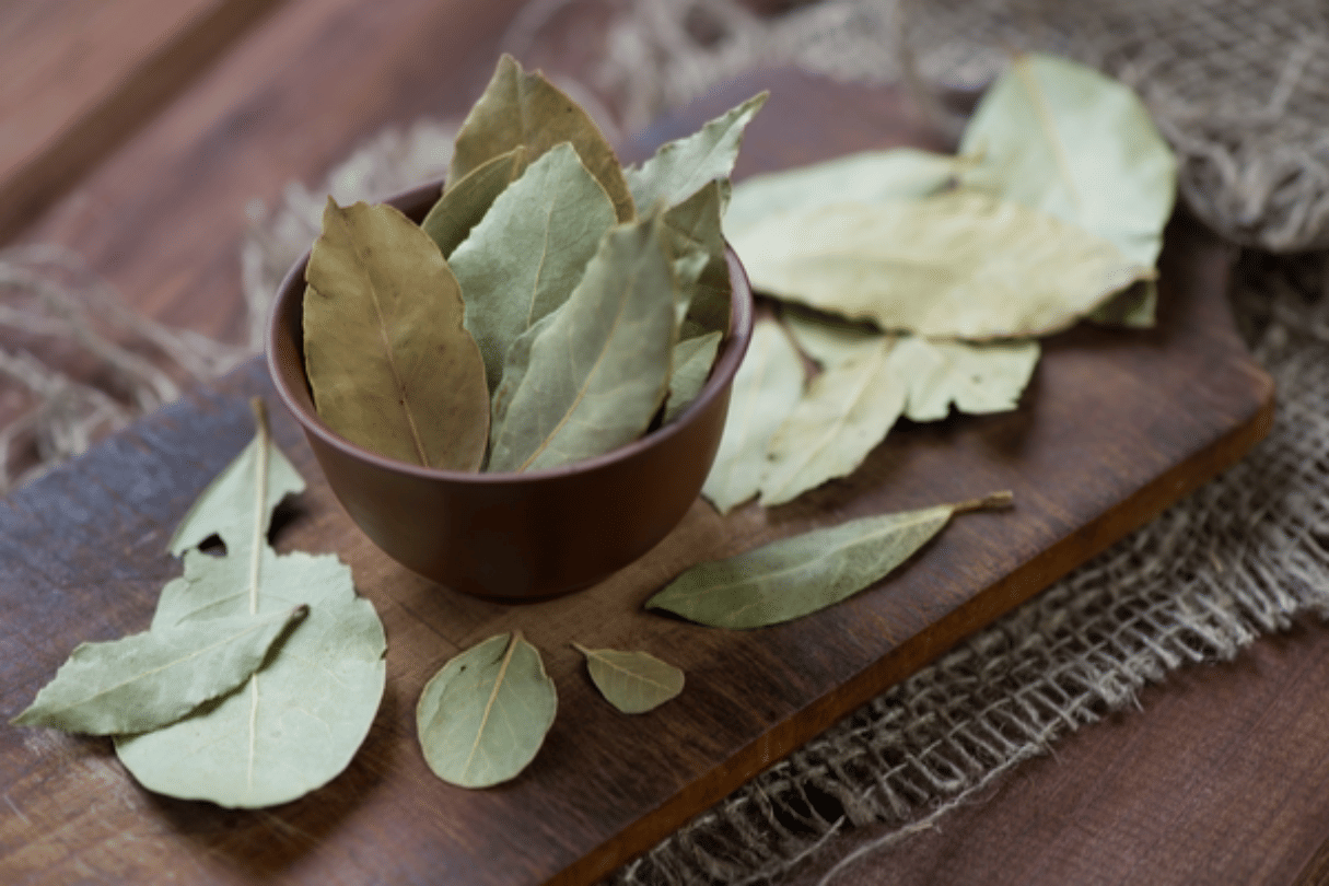 benefits of bay leaves in sprain and swelling in vein