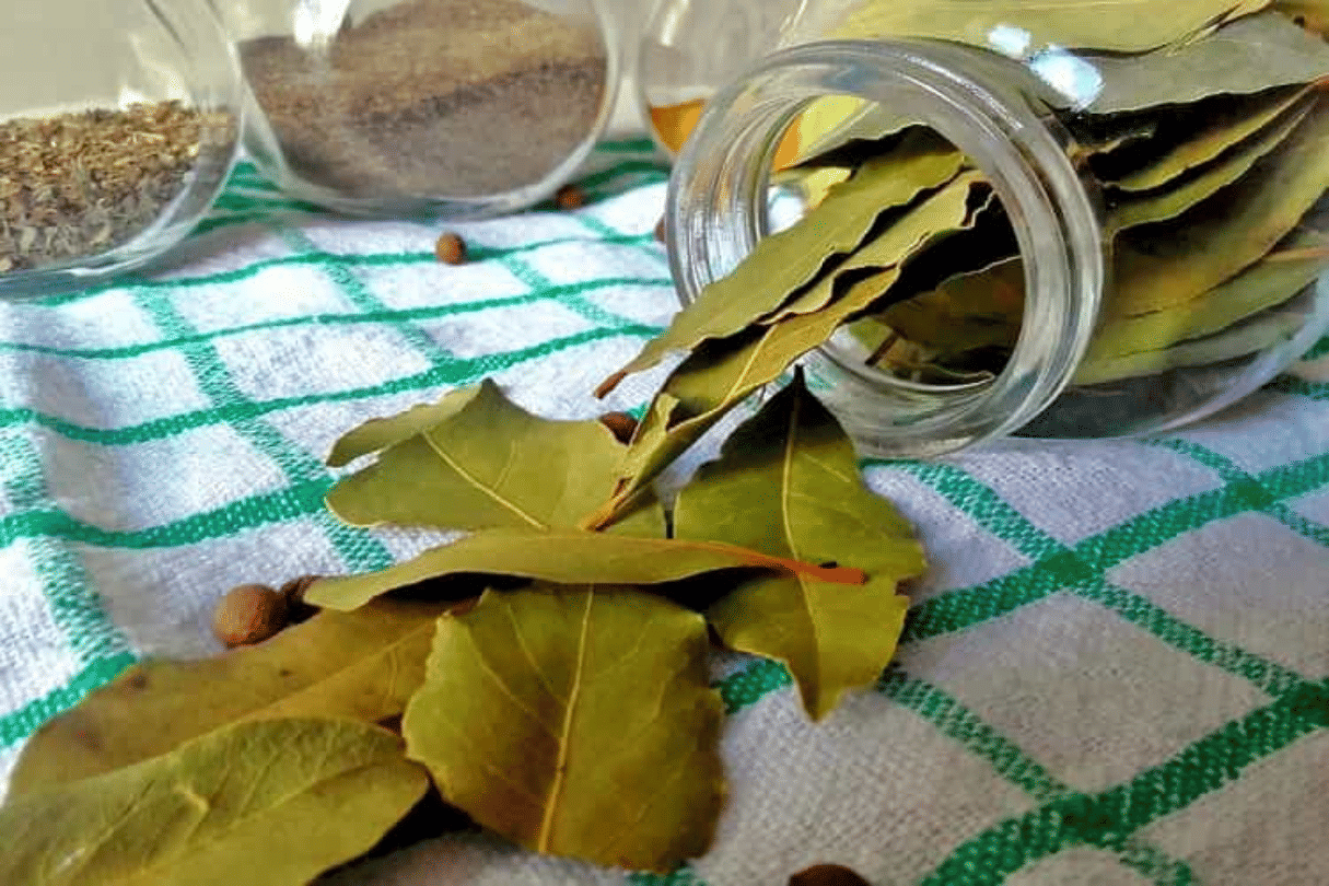 bay leaf health benefits to diabetes to consumption