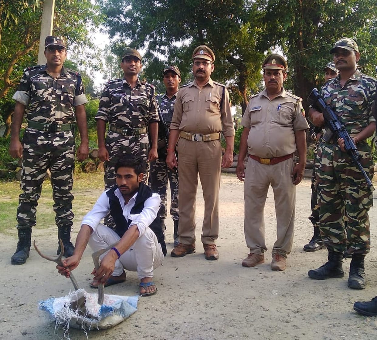 Smuggler caught with reindeer horn