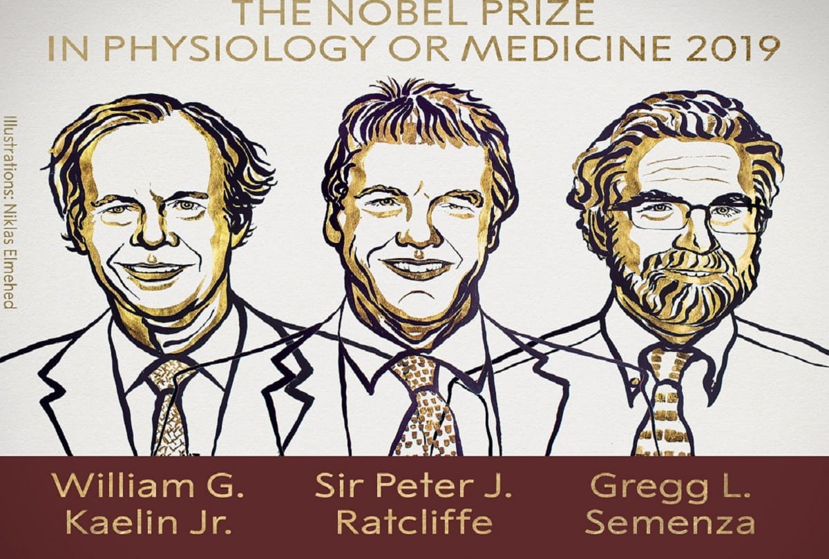 Nobel Prize winner announcement in sweden by swedish academy