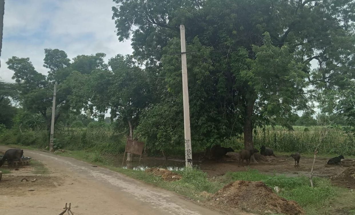 District declared fortunate, line in Osmanpur not covered