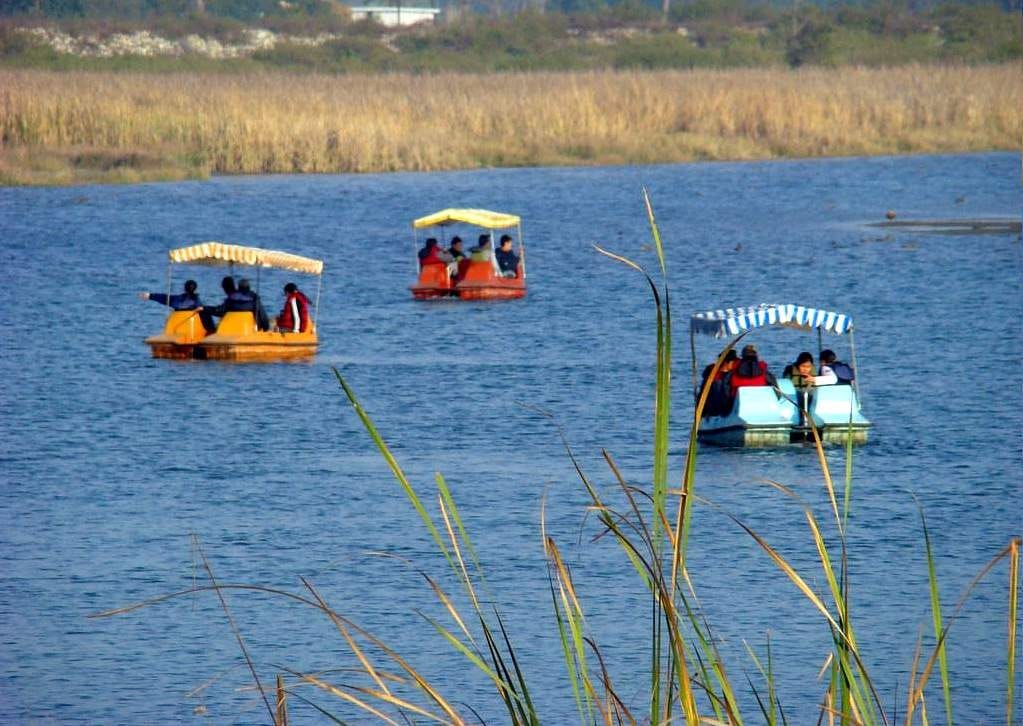 Sailing started in the Asan Barrage lake, waiting for foreign birds