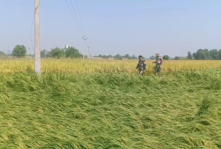 two pakistani fighter jet seen 0n hussainiwala border, firozpur punjab
