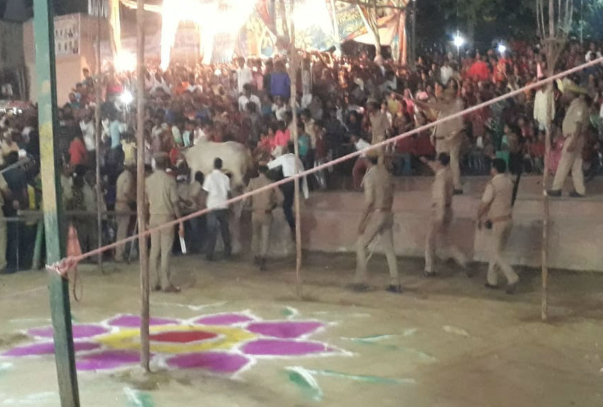 Cow enter in Croud of ramleela ground firozabad during Rawan vadh