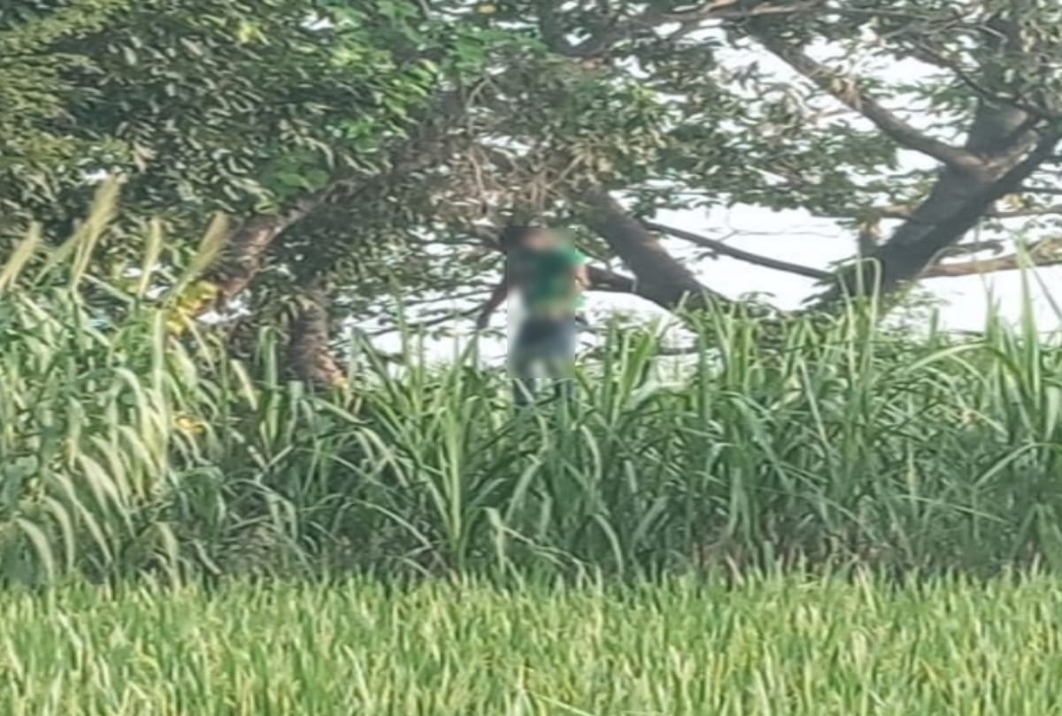 Dead body found hanging from tree in Kushinagar village