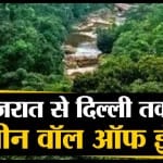 ग्रीन वॉल
