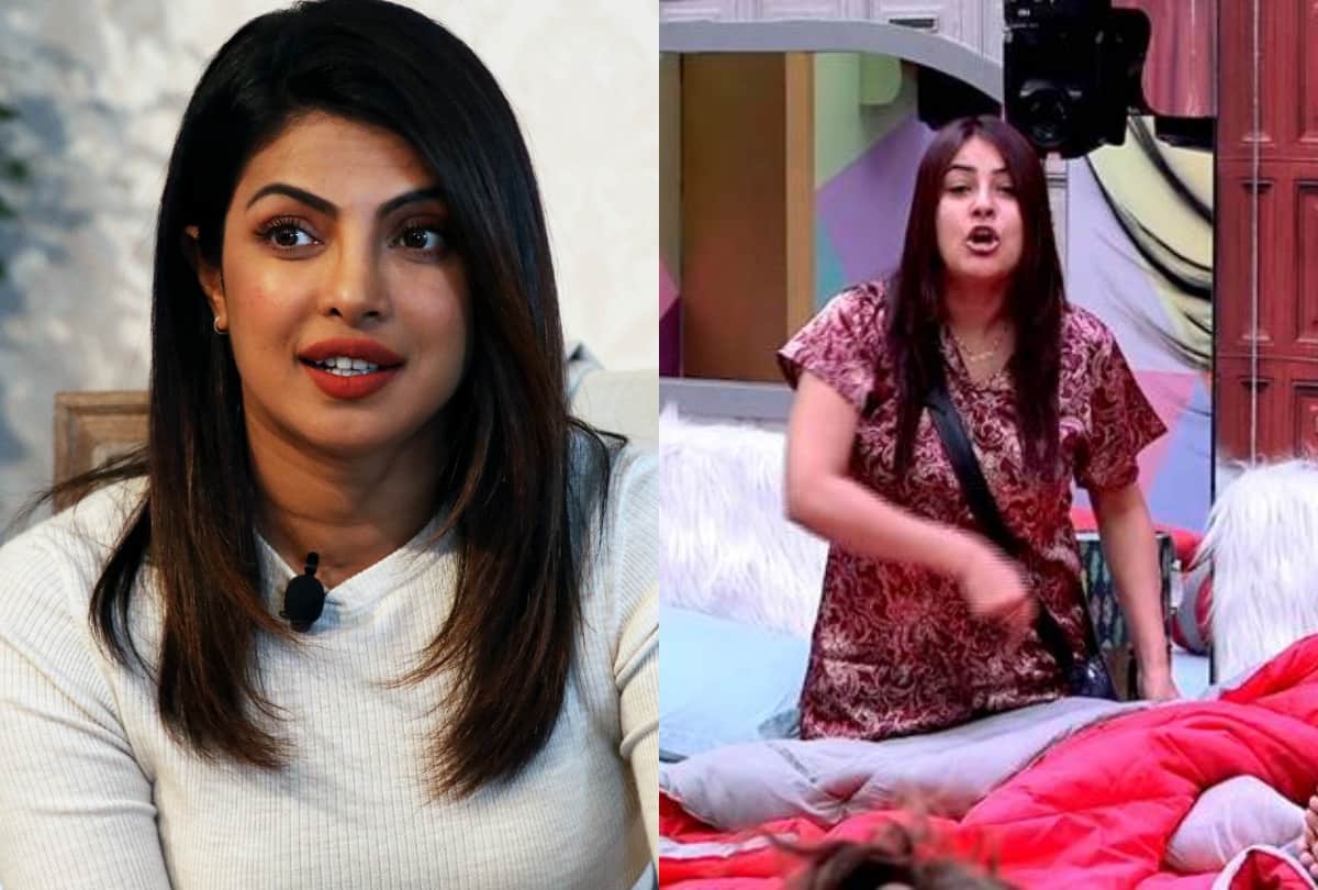 bed sharing ended in bigg boss to Priyanka Chopra baby planning these are 5 bollywood news