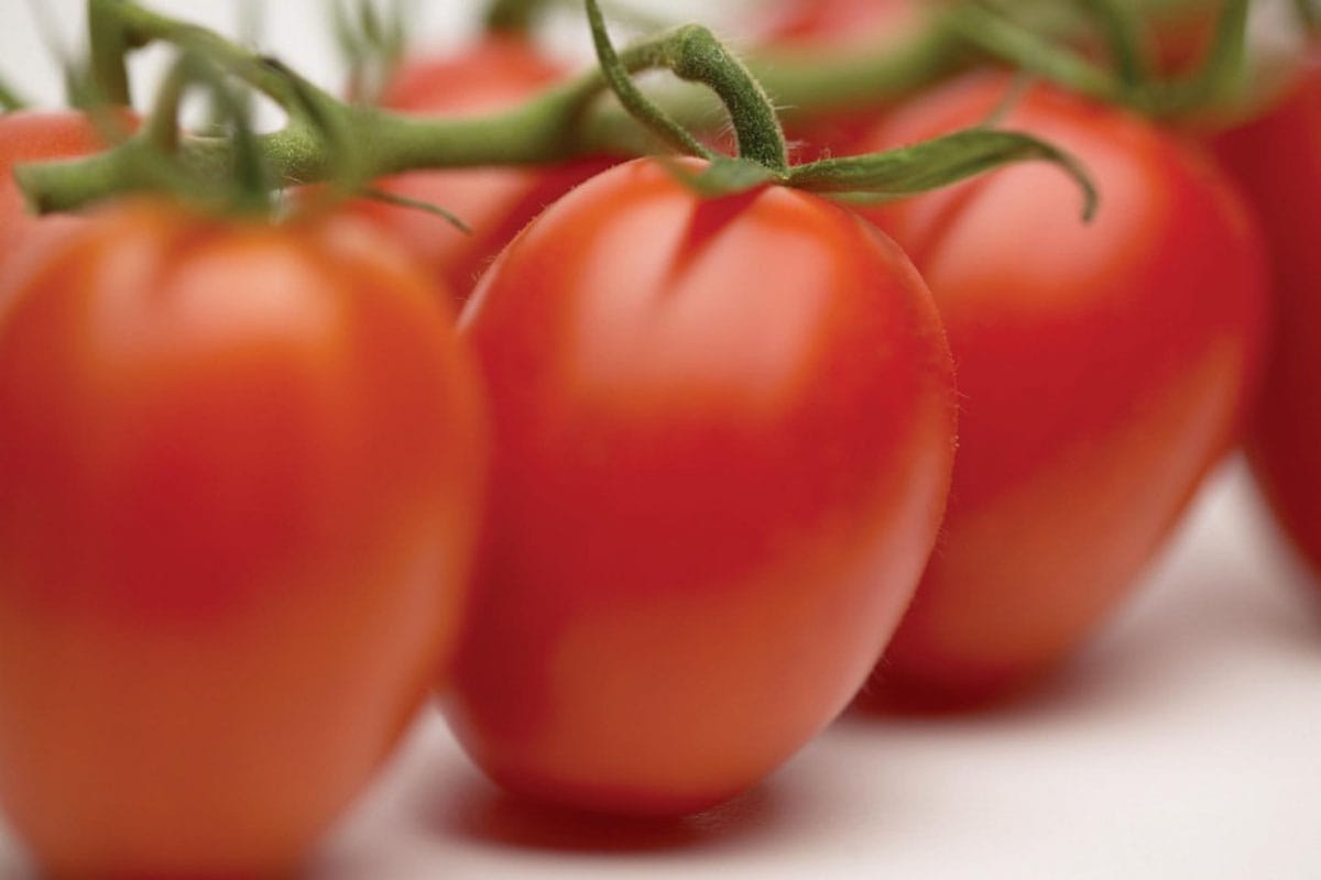 Beauty Tips simple way to use tomato for you glowing skin care