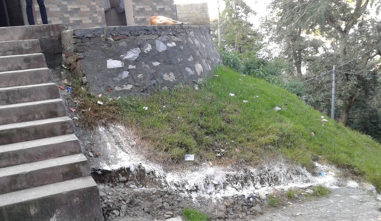 toilet dirt has been running in the open place
