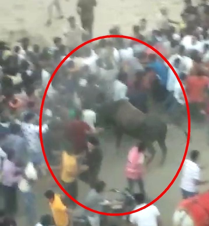 40 people injured in a stampedein ramlola