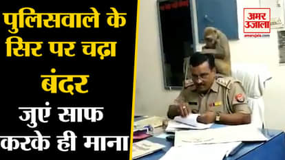 Monkey sits on shoulder of Pilibhit Police Officer Shrikant Diwedi, video goes viral
