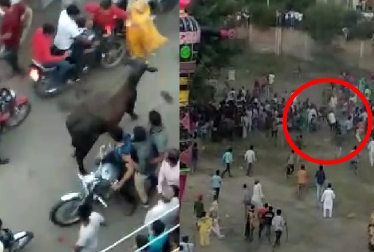 40 people injured in stampede due to bull enter in Ramleela fair