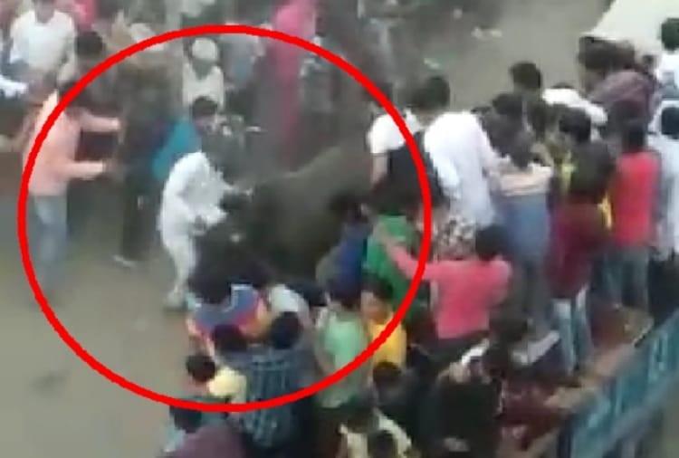 40 people injured in stampede due to bull enter in Ramleela fair