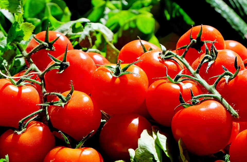 hemoglobin increase food fruits juices list immunity booster foods in hindi