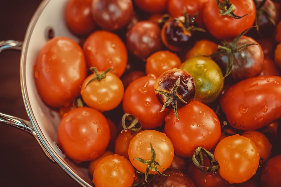 decrease in price of tomatoes leads vegetarian thali and non-veg food cheaper
