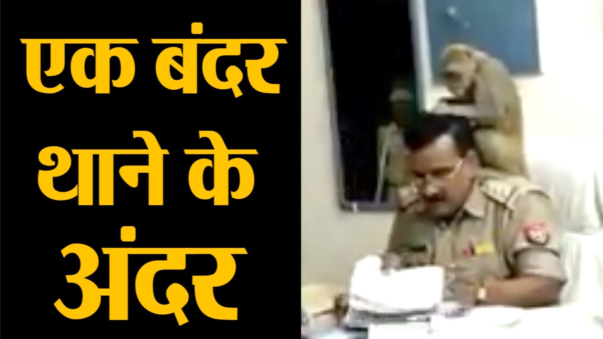 प्रतिकात्मक तस्वीर