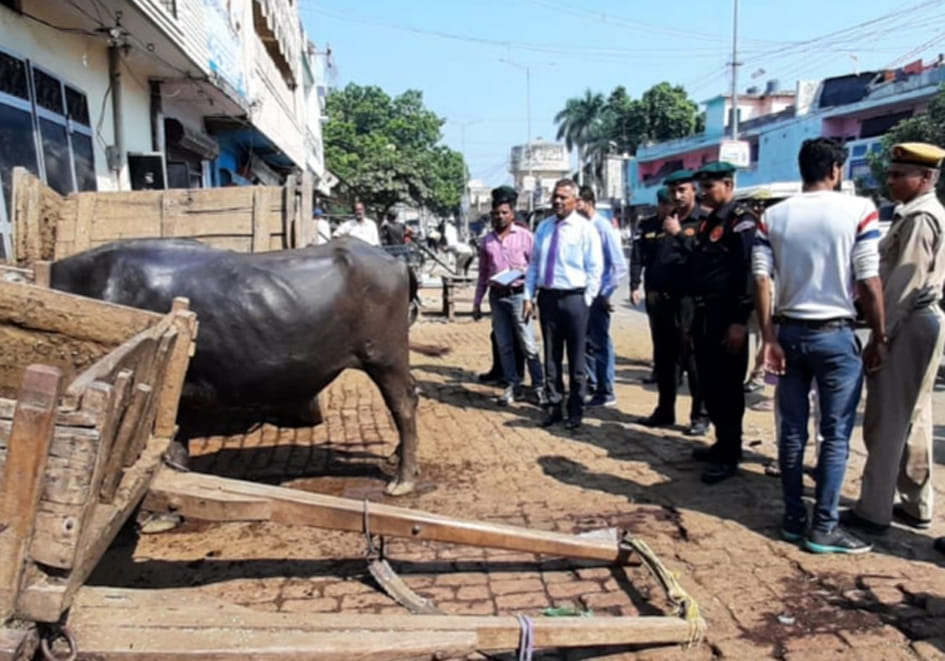 Dairies running on the streets were removed, fine imposed