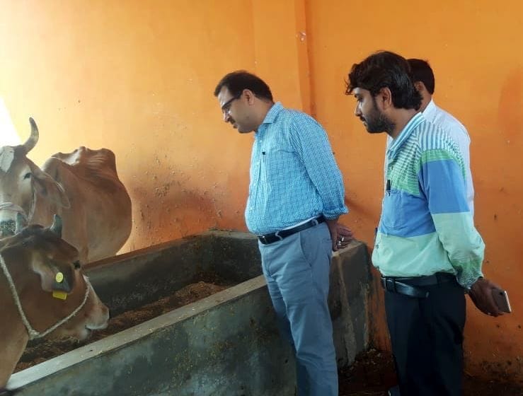 DM found deficiencies in under-construction cow protection center