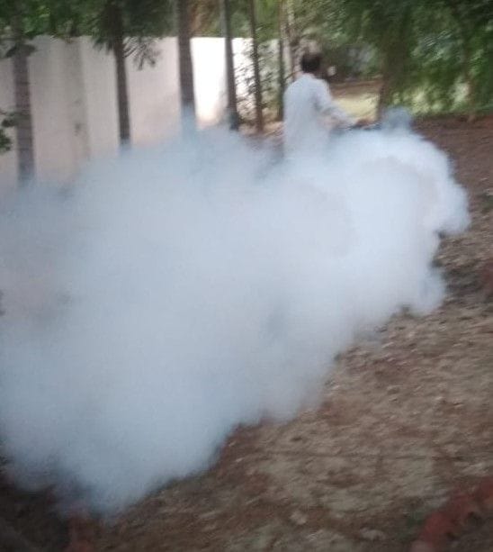dengue