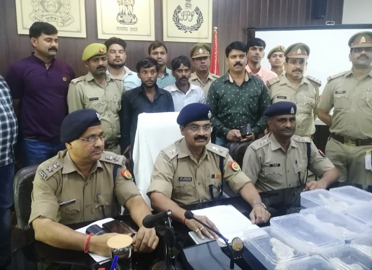 Two vicious arrests with ten platforms