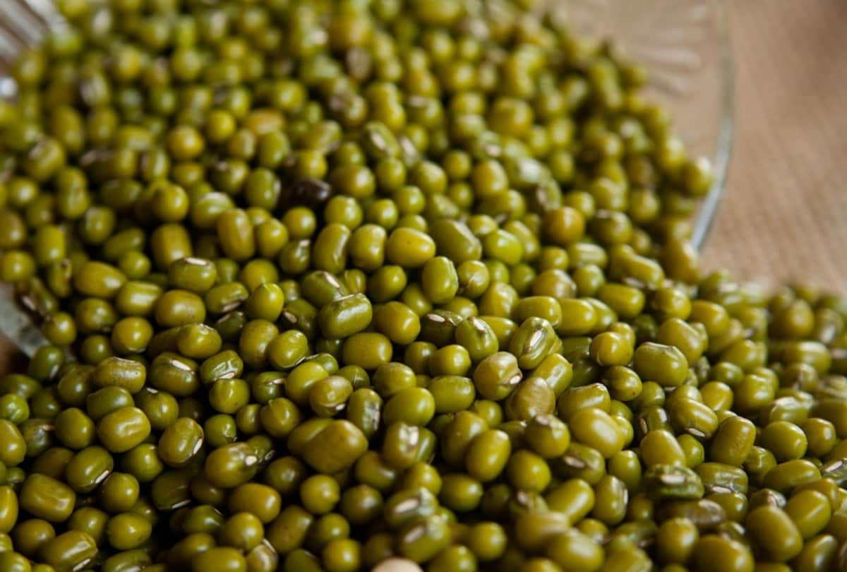 nutrition week 2020 moong dal nutrition facts kitchen hacks and tips home remedies weight loss tips and food home remedies in hindi moong dal benefits for health