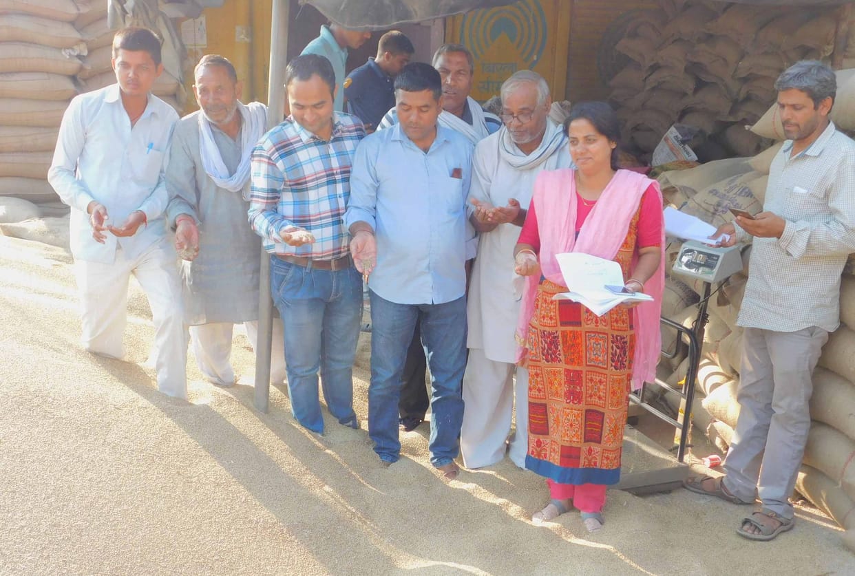 farmar,grain market,Pearl Millet