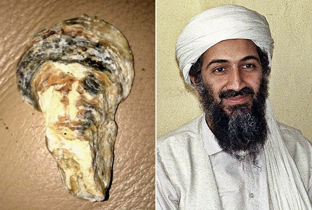 Woman Finds Shell who Looks Exactly Like Terrorist Osama Bin Laden