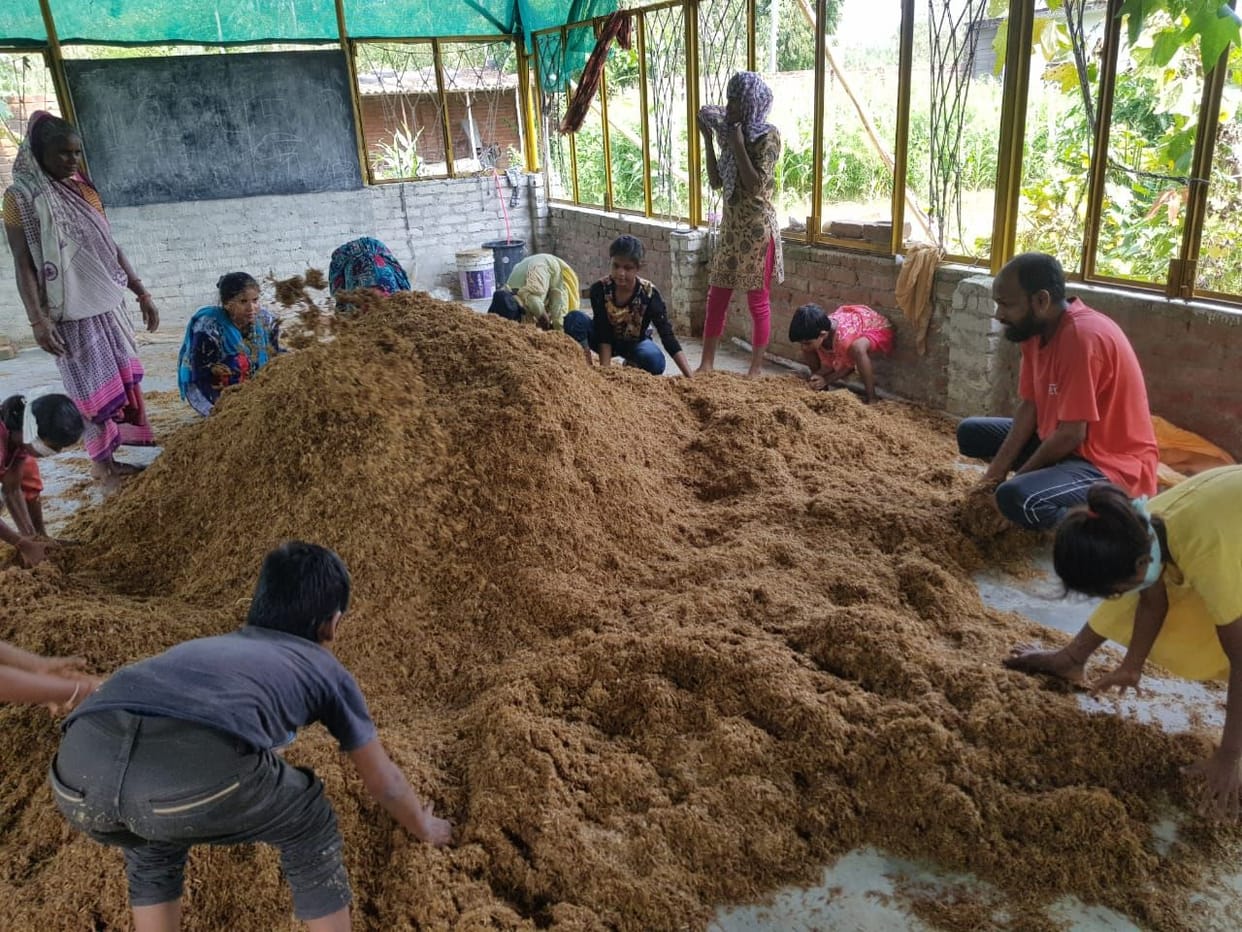 Unique school making poor girls skilled in farming