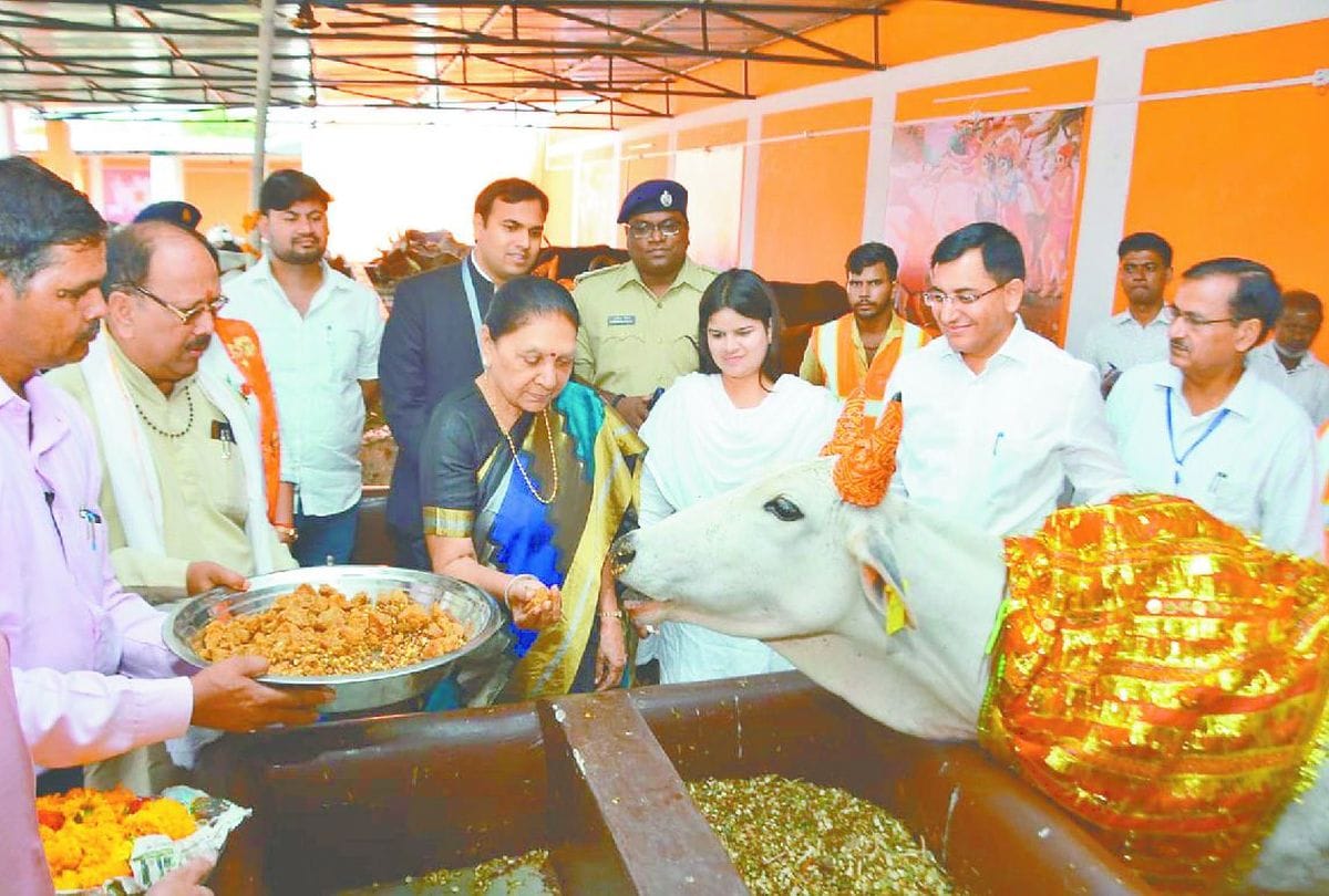 Governor Anandiben Patel inspects Kanha Gaushala in Firozabad
