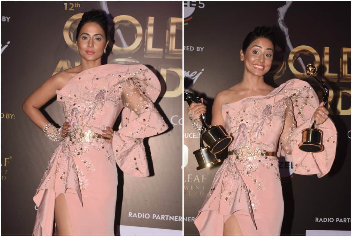 Gold Awards 2019 Hina Khan Sunny Leone Shivangi Joshi won know the winners list