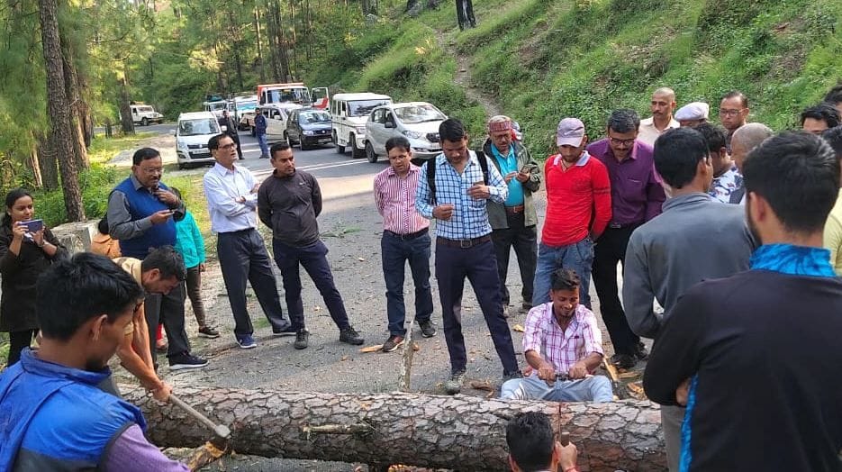 Ganai Gangoli jammed due to falling of trees on the road