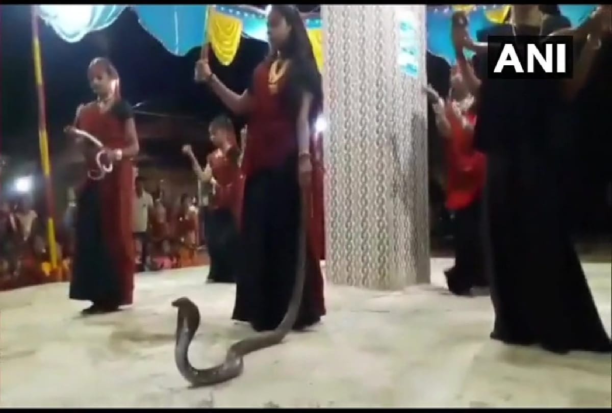 Young girls performing Garba holding cobras in hands in Junagadh Gujarat, five arrested