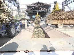 Not a single penny was paid to sugarcane 15311 farmers of Mandal