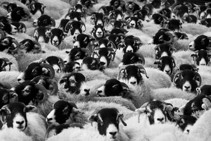 know history of woollen clothes came into existence
