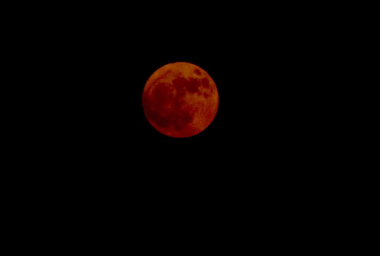 sarad purnima