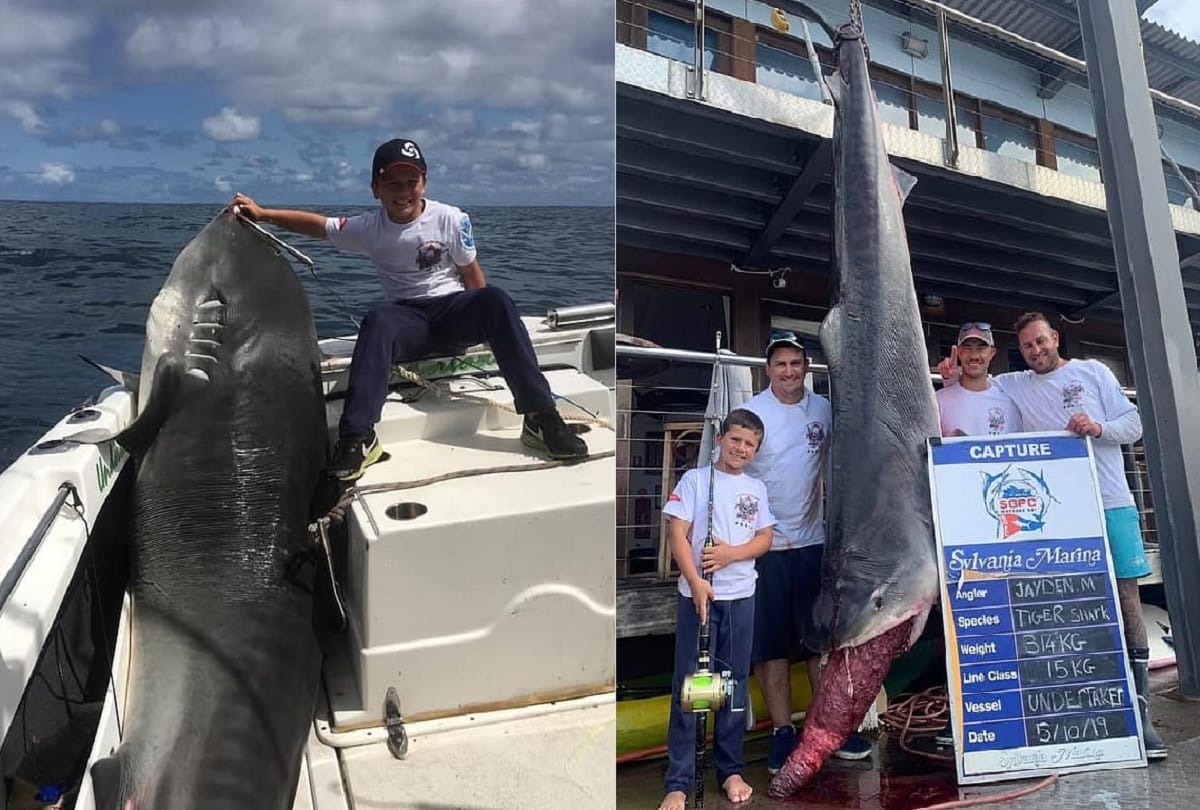 8 year old boy caught a 314 kg shark in Australia broken a world record