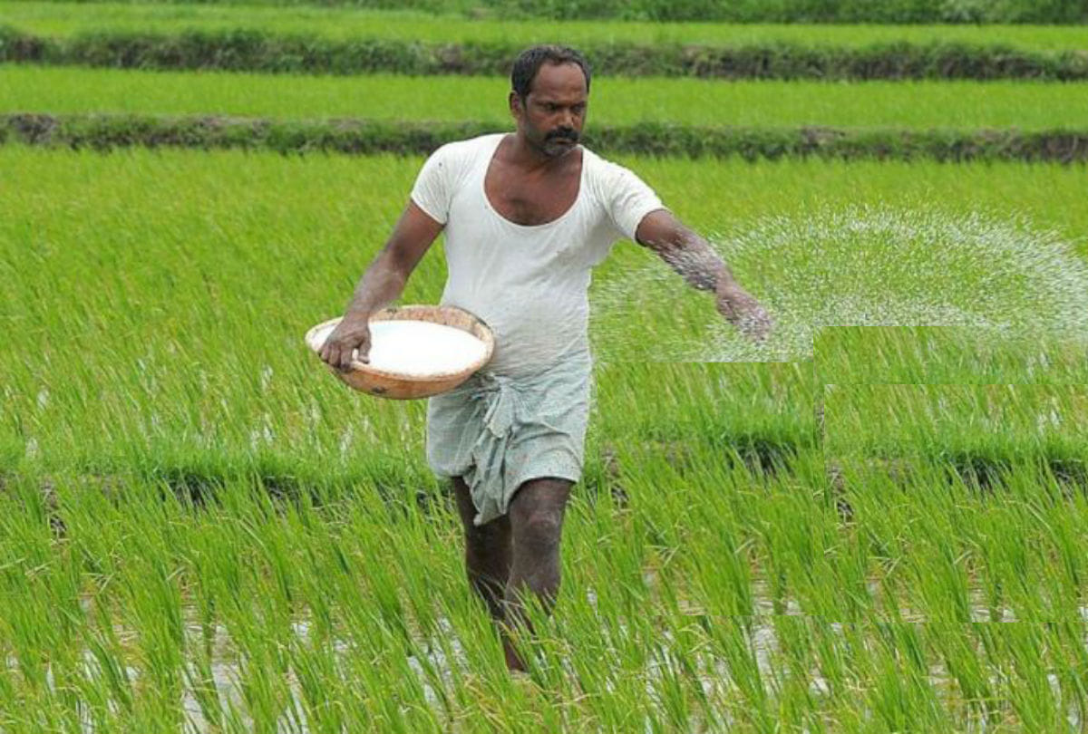 fifty rupees reduces prices of dap fertilizer per bag in mathura