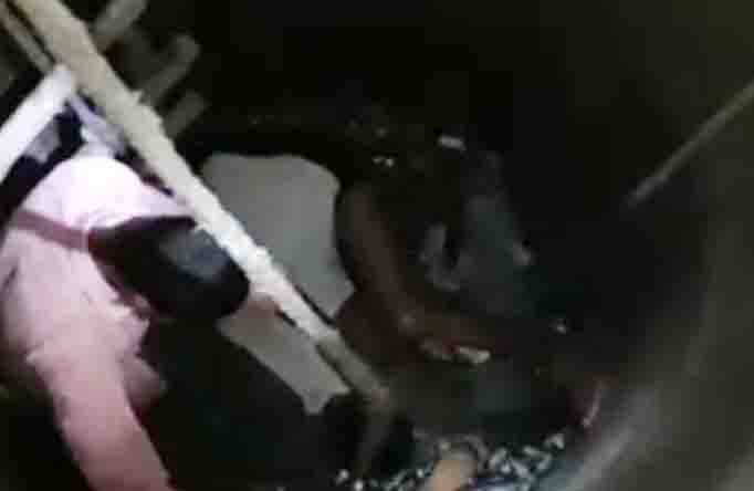 youth saved the bull that fell in the well in hardoi