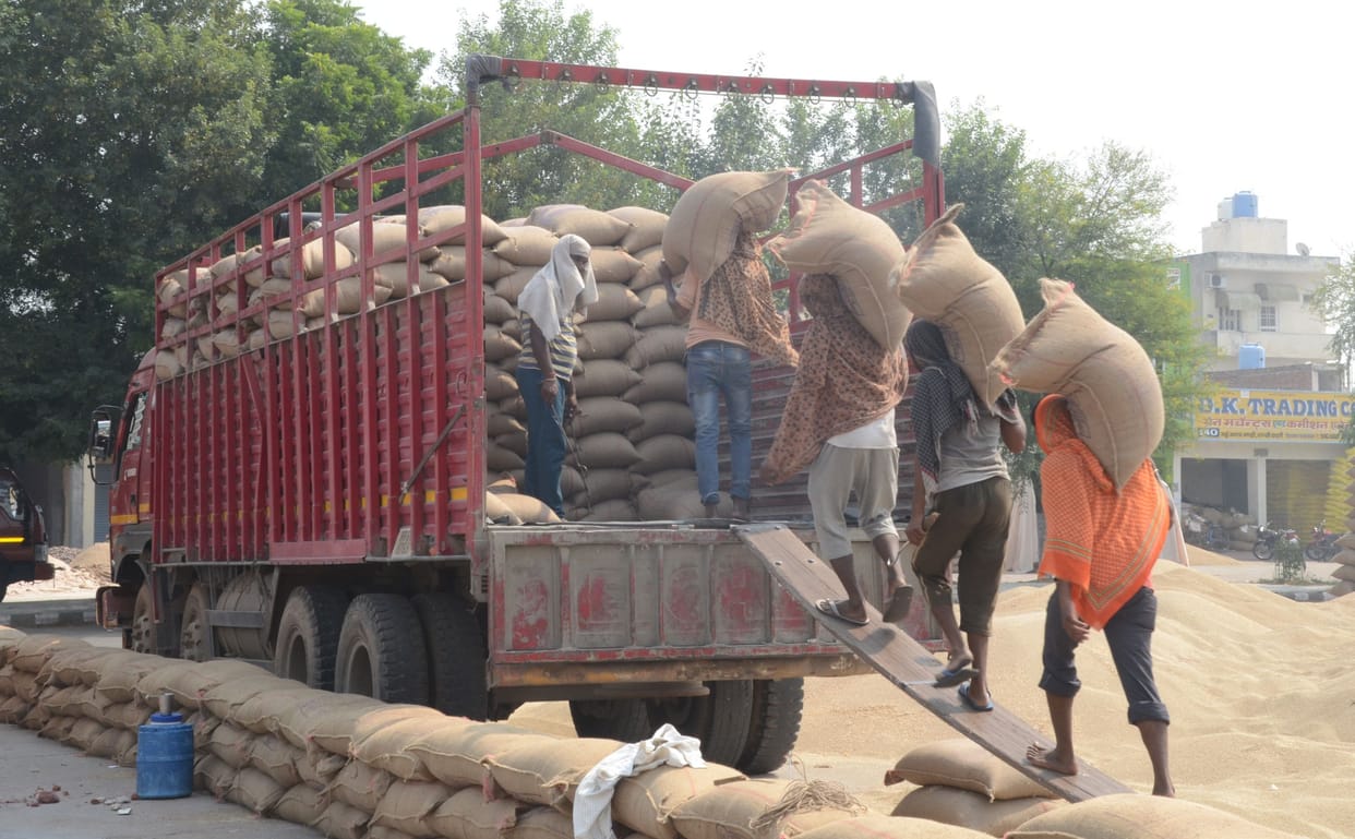 No storage system, grain market is not able to lift millet