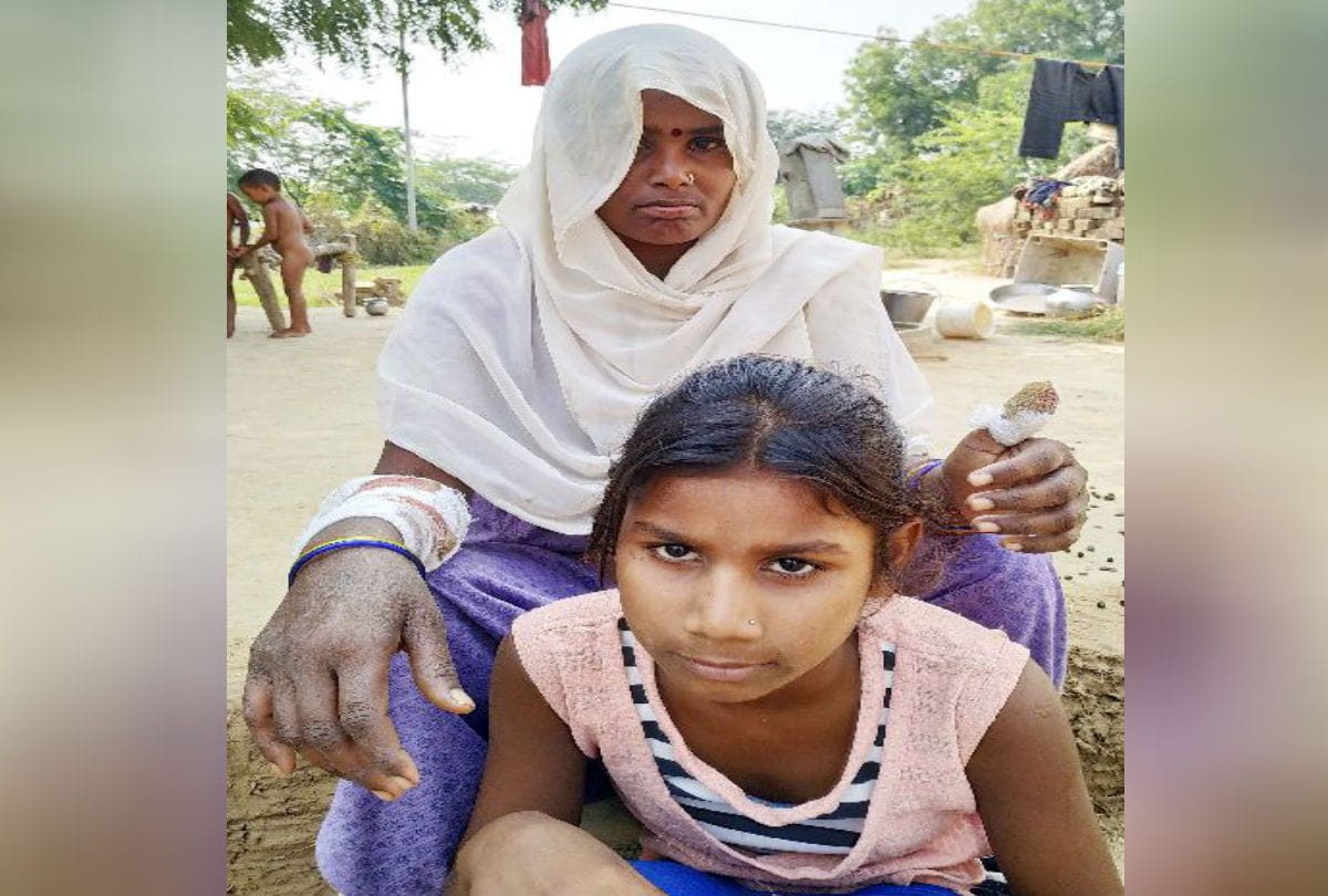 Hyena attack in Village Kayari Bah Mother Fight and Save Daughter Agra News